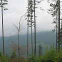 przylenkow (201)